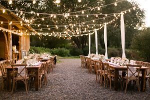 Wollam Gardens | Bodamaestra Wedding Planning | Holistic Wedding Planning