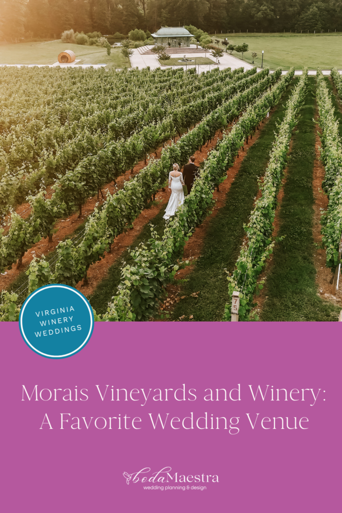 Morais Vineyards and Winery Wedding Guide- Anna Harrington Photography